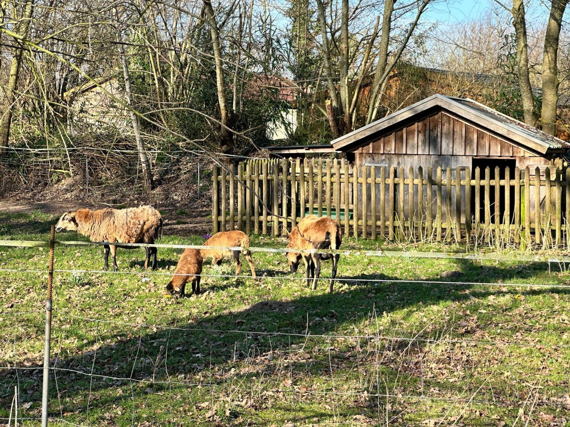 Fewo Am Tillysee In Wardenburg Exterior photo